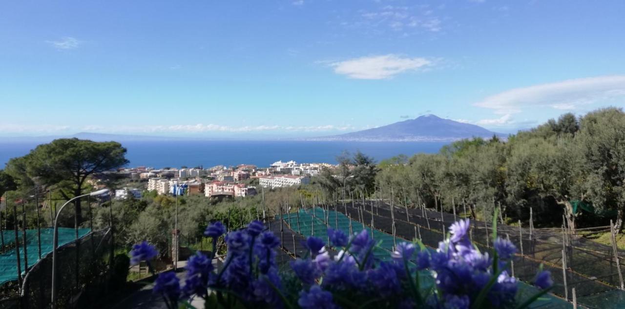 Sorrento Dolce Casa Apartment Екстериор снимка
