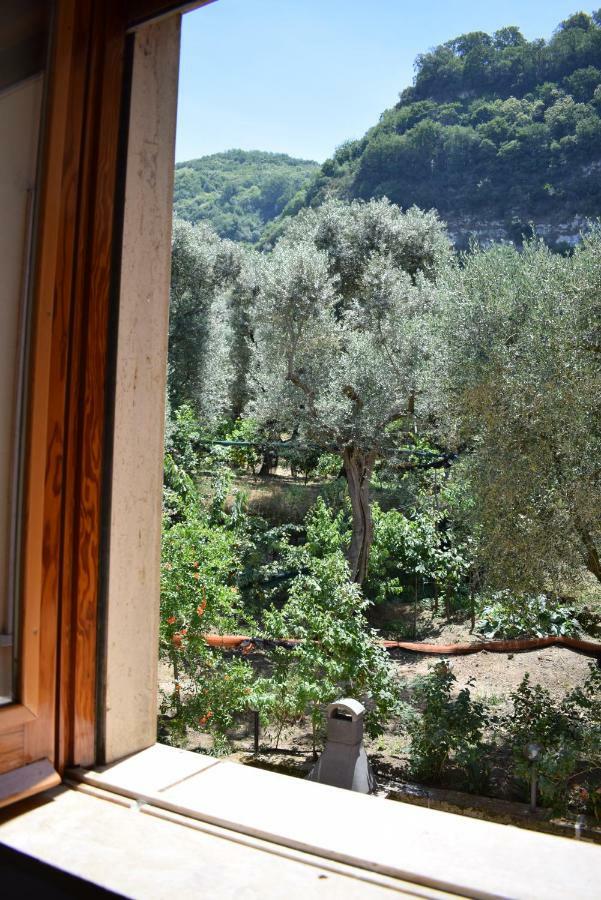 Sorrento Dolce Casa Apartment Екстериор снимка